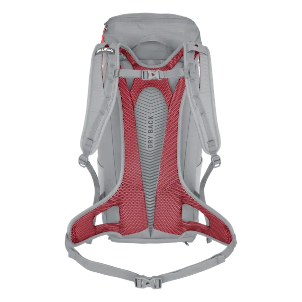 Alp Mate 30L Backpack - Alloy