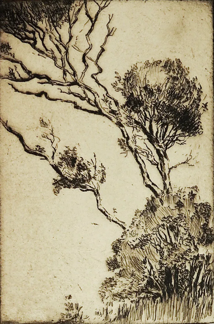 Hillside Etching By M. E. Houck