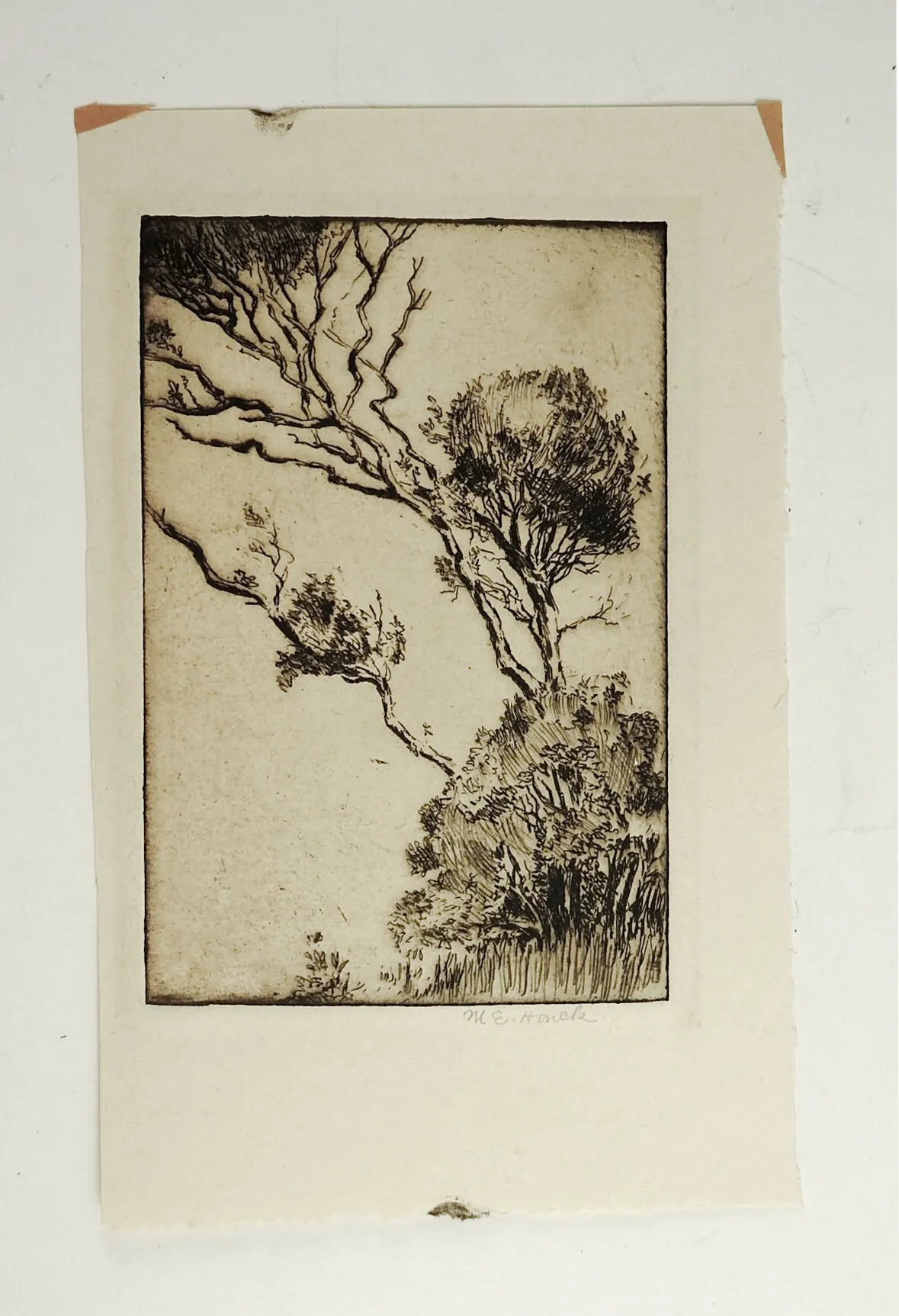 Hillside Etching By M. E. Houck